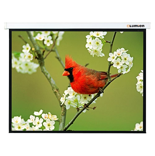 Экран настенный 171x128см Lumien Master Picture, MW, 4:3 [LMP-100108]