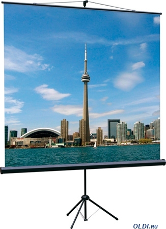 Экран на штативе 150х150см Lumien Eco View [LEV-100101]
