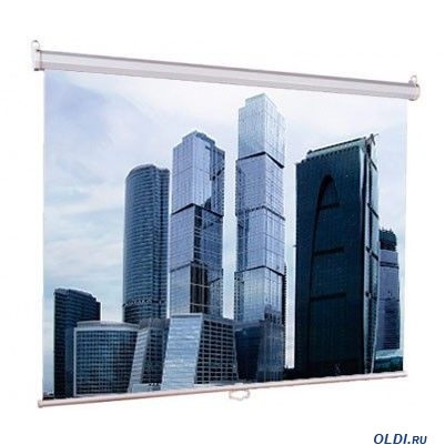 Экран настенный 160х160см Lumien Eco Picture (LEP-100105)