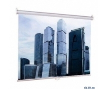 Экран настенный 160х160см Lumien Eco Picture (LEP-100105)