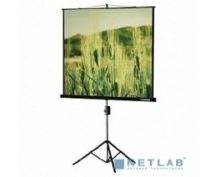 Экран на штативе 180х180см Lumien Eco View LEV-100102 с возможностью крепления на стену