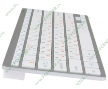 Комплект клавиатура+мышь Gembird KBS-7001 <USB> беспроводной (белый)