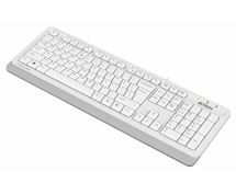 Клавиатура A4Tech Fstyler FKS10 <USB> (бело-серая)