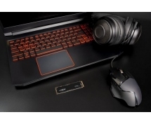 Накопитель SSD  500GB Crucial P3 Plus (CT500P3PSSD8) <M.2 2280, NVMe, PCI-Ex4 4.0>